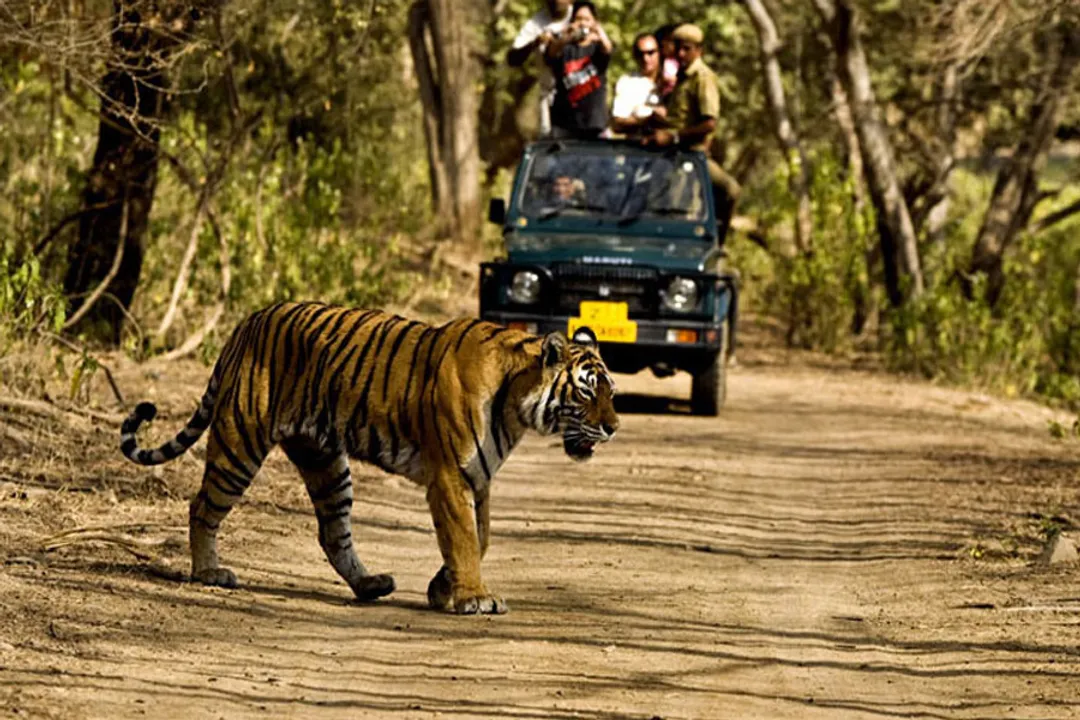 Rajaji Weekend Tour