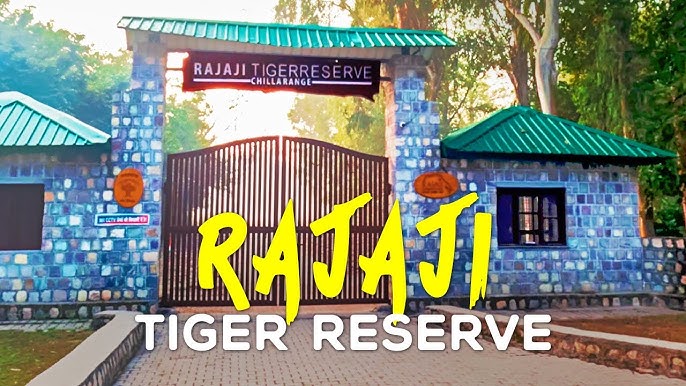 Gohri Safari